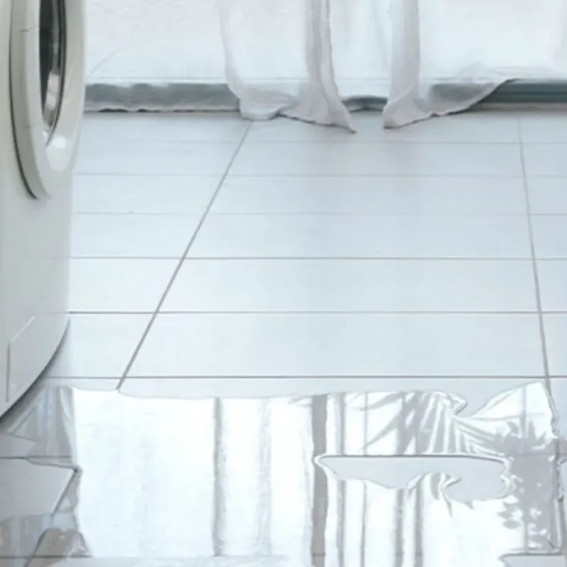 Appliance Leak Cleanup in Saline County, IL