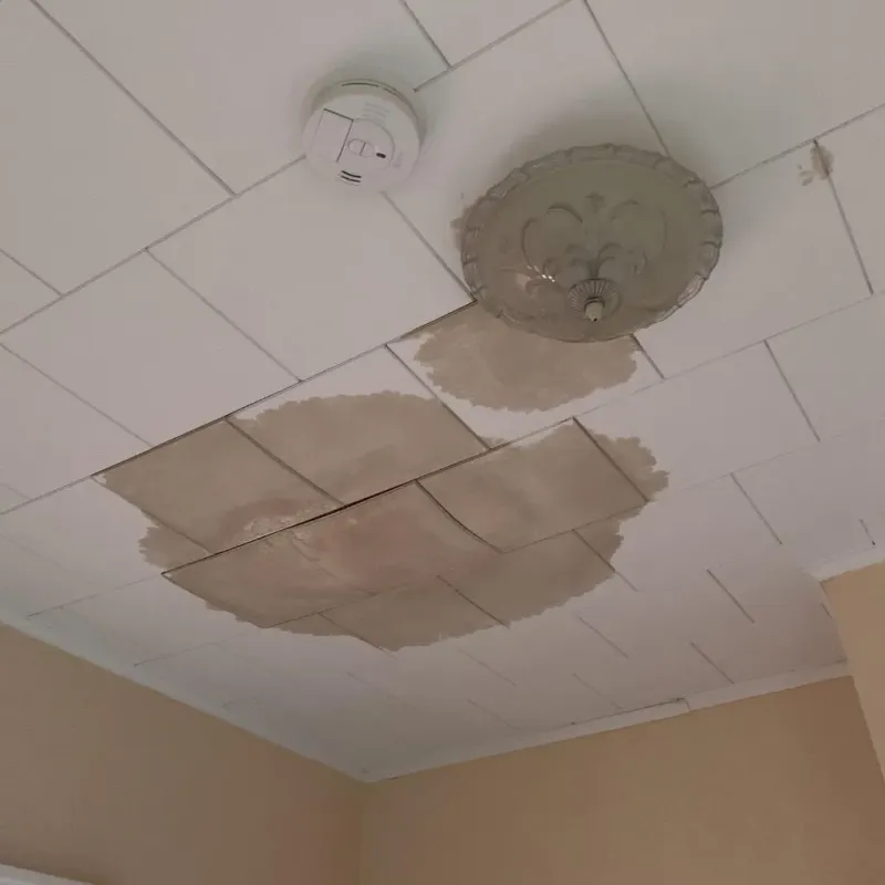 Ceiling Water Damage Repair in Saline County, IL