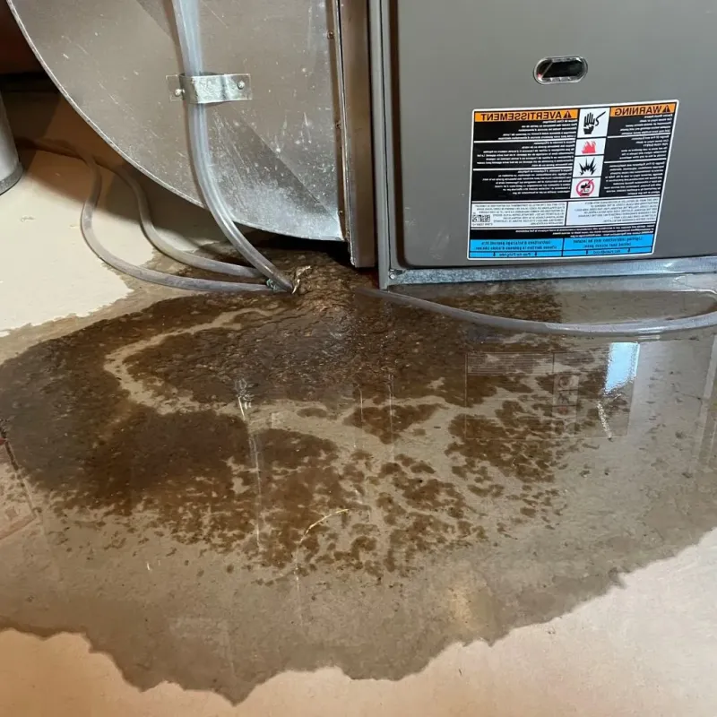 Pipe Burst and Leak Restoration in Saline County, IL